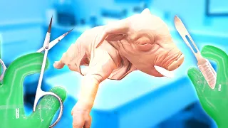 PIG GETS CHOPPED UP in Dissection Simulator: Pig Edition VR