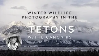 Magical Winter Wildlife Photography in the Tetons w/My Canon R5