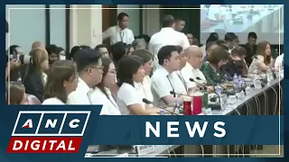 PH lawmaker calls swift budget deliberation for OVP 'problematic' | ANC