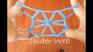 ((Medium)) Spider Web