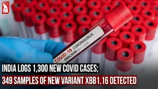 INDIA LOGS 1,300 NEW COVID CASES; 349 SAMPLES OF NEW VARIANT XBB1.16 DETECTED  | Prudent Media Goa