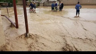 BERUNIYDA SEL ⛈️🌧🌦Karakolpogiston 2-QISMI 20.06.2023