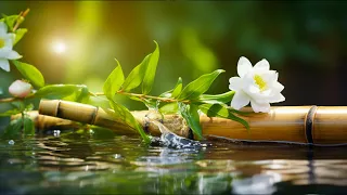 Relaxing Piano Music Bamboo Water Fountain, Sleep Music, Relaxing Music, Meditation Music