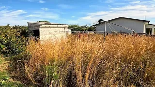 Shoulder High Grass gets the FULL TREATMENT | This job was HORRIBLE!