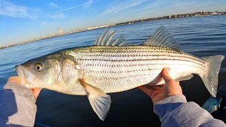 The Stripers Are Back! Fishing The Migration In New Jersey 2024