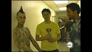 Blink 182 [MTV Backstage Pass 2004 Interviews]