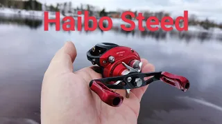 Haibo Steed обзор