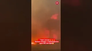 Горить росія🔥Лісові пожежі в Красноярському краї/Горит россия. Лесные пожары в Красноярском крае