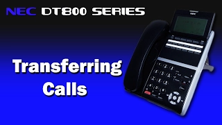 NEC DT800 Series | Transferring Calls | MF Telecom Services