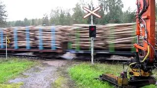 Freight train T 3359 passed Tiituspohja II (Km. 0388+0266) level crossing in Laukaa,  Finland