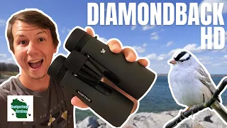 Unmatched Value in Optics? (Vortex Diamondback HD Binocular Review)