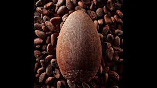 Ovo de Páscoa – Mitos e verdades sobre o chocolate - Família AVôVó