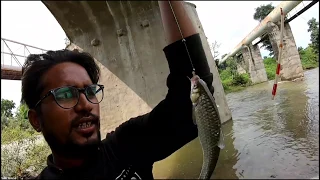 fishing in the rivers of Amravati || fish hunting