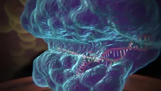 Crispr-cas 9 le forbici del DNA