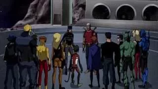 Young Justice - Up the Wolves