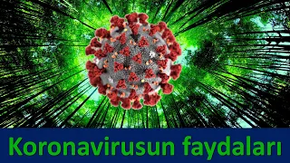 Koronavirusun faydaları