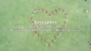 "Shape Of You" - International Zouk Day 2017 (Team Singapore)