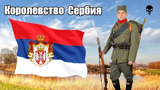 Стрелковое оружие Сербии в Первой мировой войне