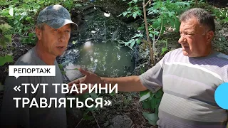 «Тут тварини травляться». На Сумщині зливають каналізаційні води поблизу села