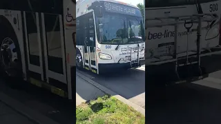 School Bus meets a Bee Line Bus to White Plains!