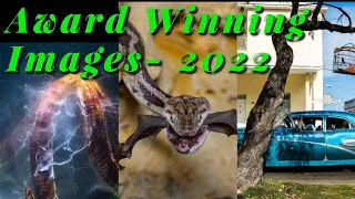 Wildlife photographer of the year 2022| the winning images|factsvoice tv