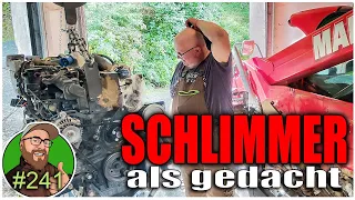FarmVlog 241: Motor ausgebaut - großer Schaden | Neue Rinder nach Schrenkersberg