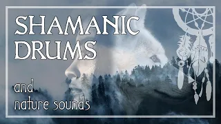 SHAMANIC DRUMS • Deep Forest Sounds • Journey for Trance & Meditation • Activate Your Higher Mind