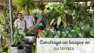 CONVIRTIÓ su terraza en un BOSQUE URBANO |JARDÍN colombiano