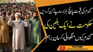 Farmers Unite | Protesting Wheat Prices Outside Punjab Assembly | Hamza Javaid Reports