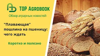 «Плавающая» пошлина на пшеницу: чего ждать. TOP Agrobook: обзор аграрных новостей