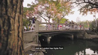 Lumphini Park - Green Lung of Bangkok, Thailand | Discover Local