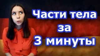 Как запомнить немецкие слова? Тема «Части тела». Часть 1. Уровень А1.