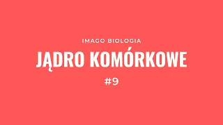 Jądro komórkowe