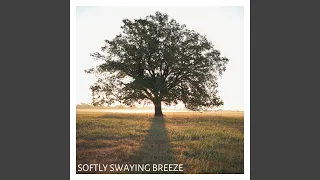 Softly Swaying Breeze