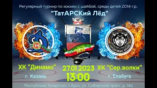 27.01.2023г. Динамо-2014(Казань) - Серебряные Волки-2014(Елабуга)