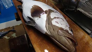 Amazing Grouper Filleting - Grouper Japanese Fish Filleting Skills