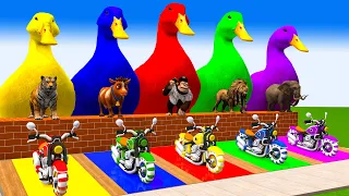 5 Giant Duck, Monkey, Piglet, chicken, dog, cat, lion, cow, Sheep, Transfiguration funny animal 2024