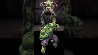 Superheroes But Dogs 💥 All Characters #avengers #shorts #marvel #viral