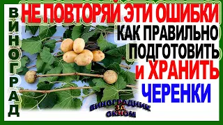 🍇11 ошибок! Как правильно хранить черенки винограда. Таким способом можно хранить черенки целый год.