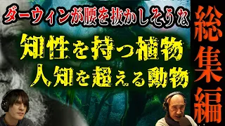 【元都市伝説】擬似科学とされていたけれど...植物たちの脅威的な能力/本当に存在した人知を超えた馬 他 【総集編 厳選7エピソード 】#睡眠用 #作業用