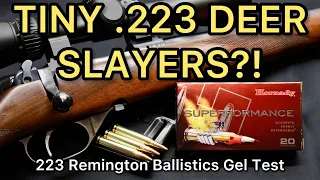 KILLER COPPER?! 223 Remington Hornady Superformance CX 50 & 55gr Ammo Test