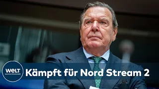 ALTKANZLER FÜR NORD STREAM 2: Schröder will härtere Gangart gegenüber den USA