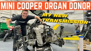 ORGAN DONOR Mini Cooper S SAVES My RARE John Cooper Works