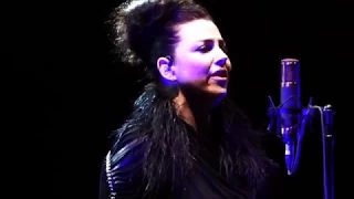 Amy Lee  - Best Vocals (Synthesis tour USA)