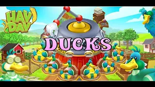 Hay Day - Ducks & Duck Salon (Guide)