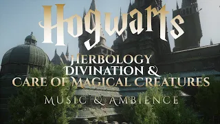 Herbology, Divination & Care of Magical Creatures | Beautiful Hogwarts Legacy, Harry Potter Ambience