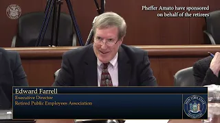 Workforce Development - New York State Budget Public Hearing - Ed Farrell Testifies