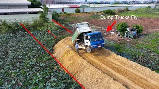 Incredible Dump Truck Fly Back Unloading Stuck Deep Heavy By Dozer Komat’su Pushing Soil