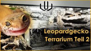 Leopardgecko Terrarium bauen Part 2 |  CapCobi