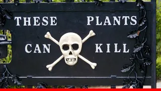 The Most Poisonous Garden In The World | Alnwick